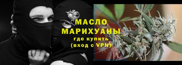 индика Богородск