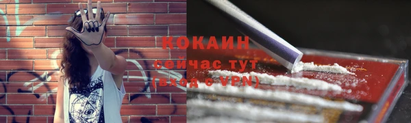 скорость Богданович