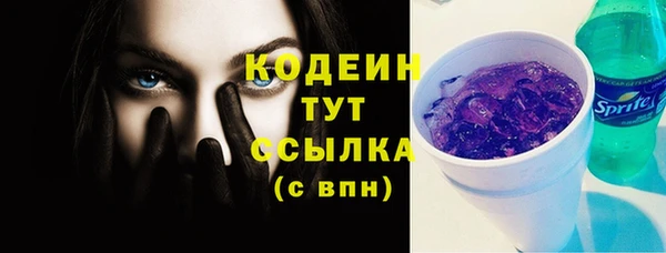 индика Богородск