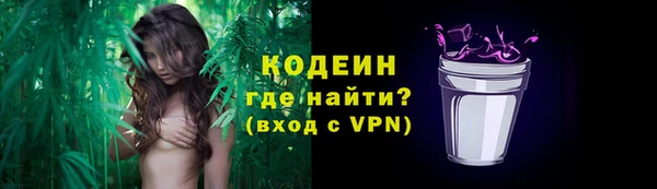индика Богородск