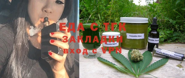 индика Богородск
