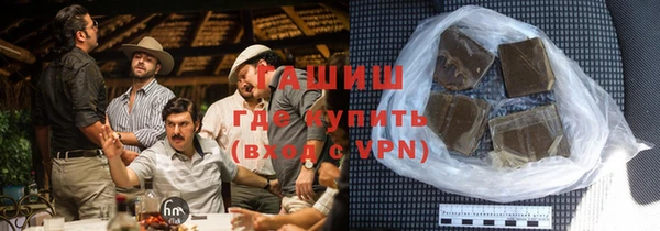 индика Богородск