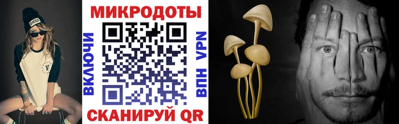 Галлюциногенные грибы ЛСД  Жуков 